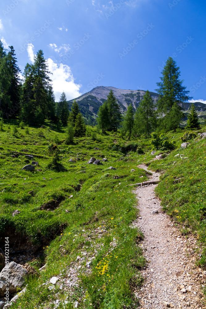 Way to the Seekarspitze, Austira, Tyrol