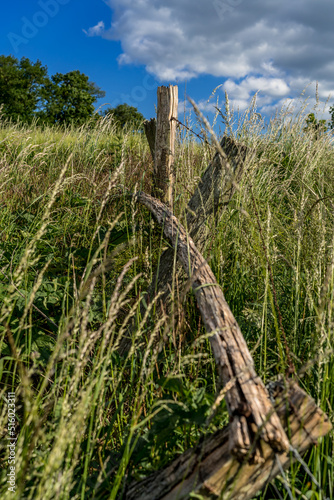 Paysage campagne 1354