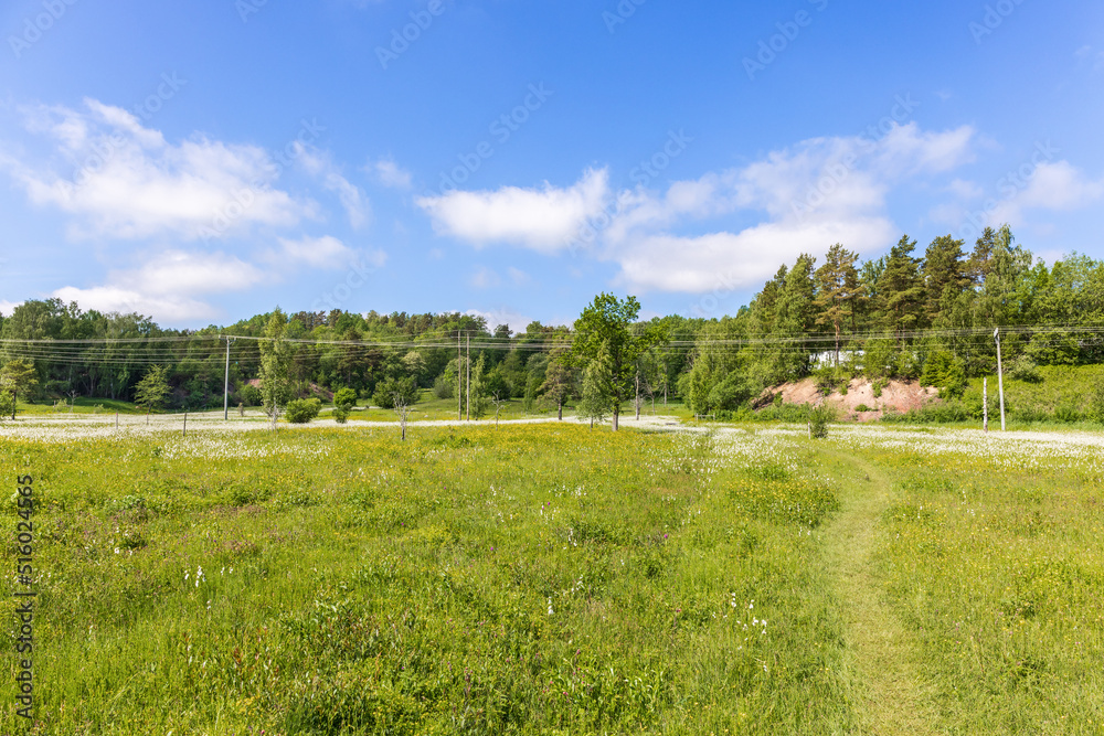 Nature trail on a meadow in the summer