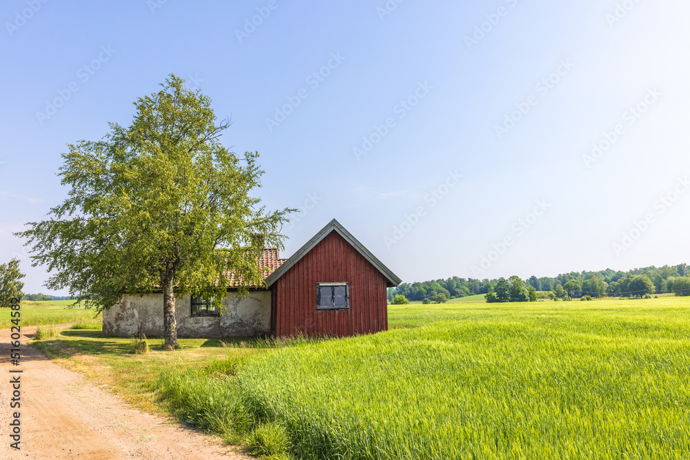 Obraz premium Idyllic old shed on the roadside in the countryside