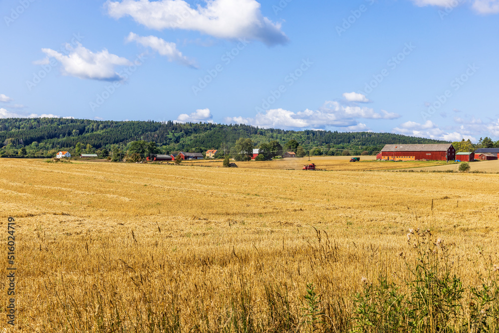Countryside view with fields and farms in the summer