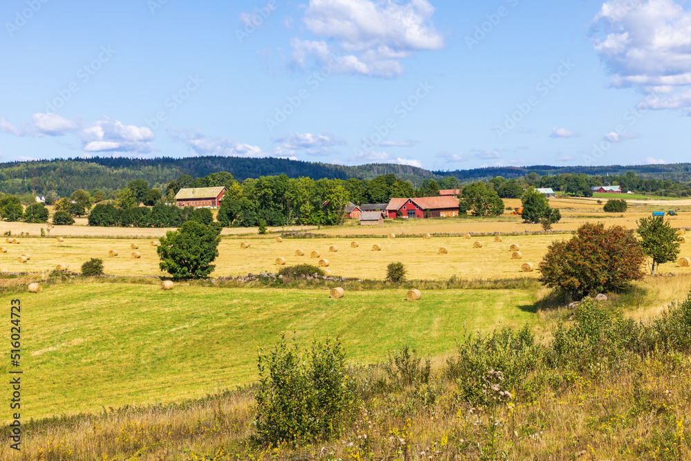 Countryside view with farms and fields