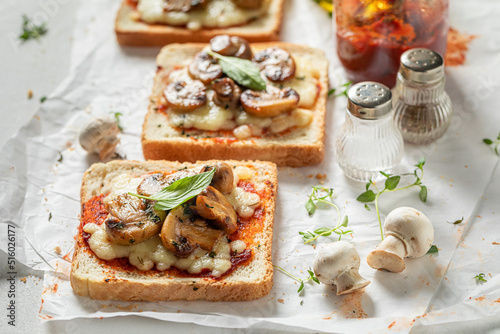 Vegetarian and fresh toasts...