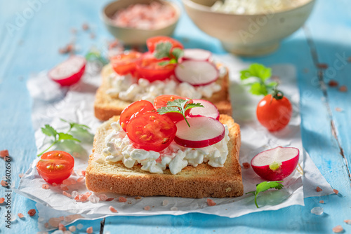 Homemade toasts with cottage cheese, radish and cherry tomatoes.