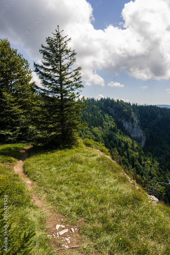 Sentier de découverte sur les crêtes du cirque d’Orvaz, Jura, Ain, Auvergne-Rhône-Alpes, France