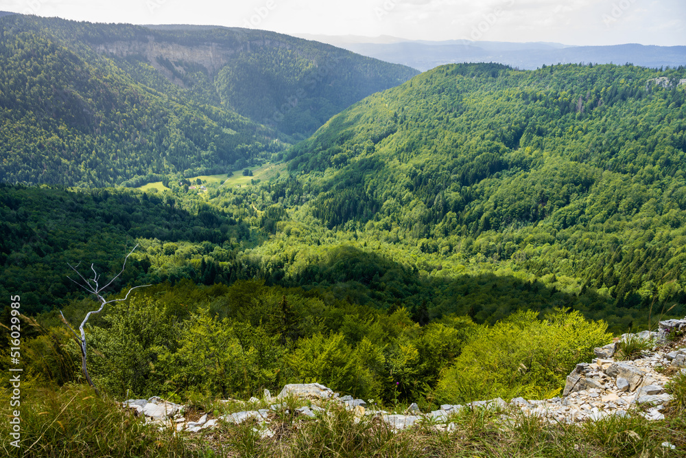Fototapeta premium Sur la crête du cirque d’Orvaz, face à la Roche Fauconnière, Jura, Ain, Auvergne-Rhône-Alpes, France