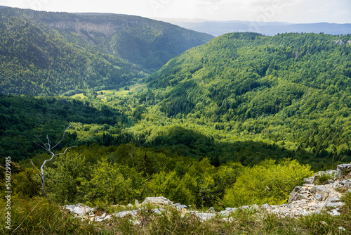 Sur la cr  te du cirque d   Orvaz  face    la Roche Fauconni  re  Jura  Ain  Auvergne-Rh  ne-Alpes  France