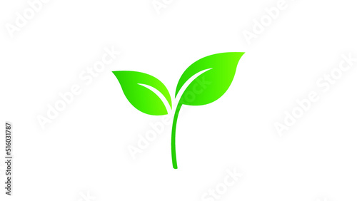 Green leaf logo vector template illustration © Faisal