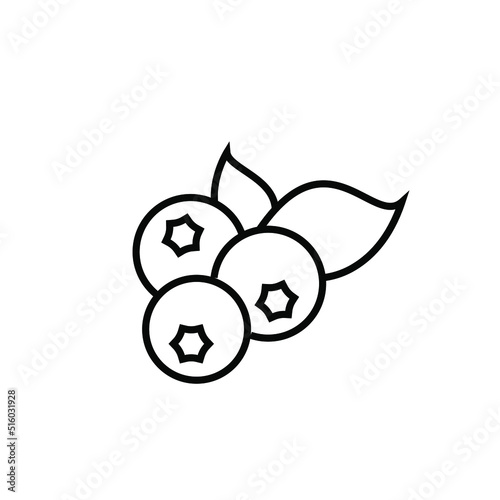Ripe blueberry fruit vector icon outline. EPS 10. Natural food illustration. Berrys with leaves. Fresh nature food. Can be used for logo, app, web, ui, brochures, banner, restaurant menu and market.