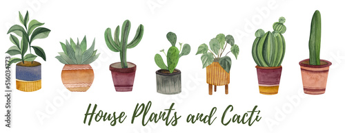 Collection of house plants in the pot, succulents and cacti. Watercolor hand-painted illustration isolated on a white background. Perfect for any projects, prints, menu, cards, decor.