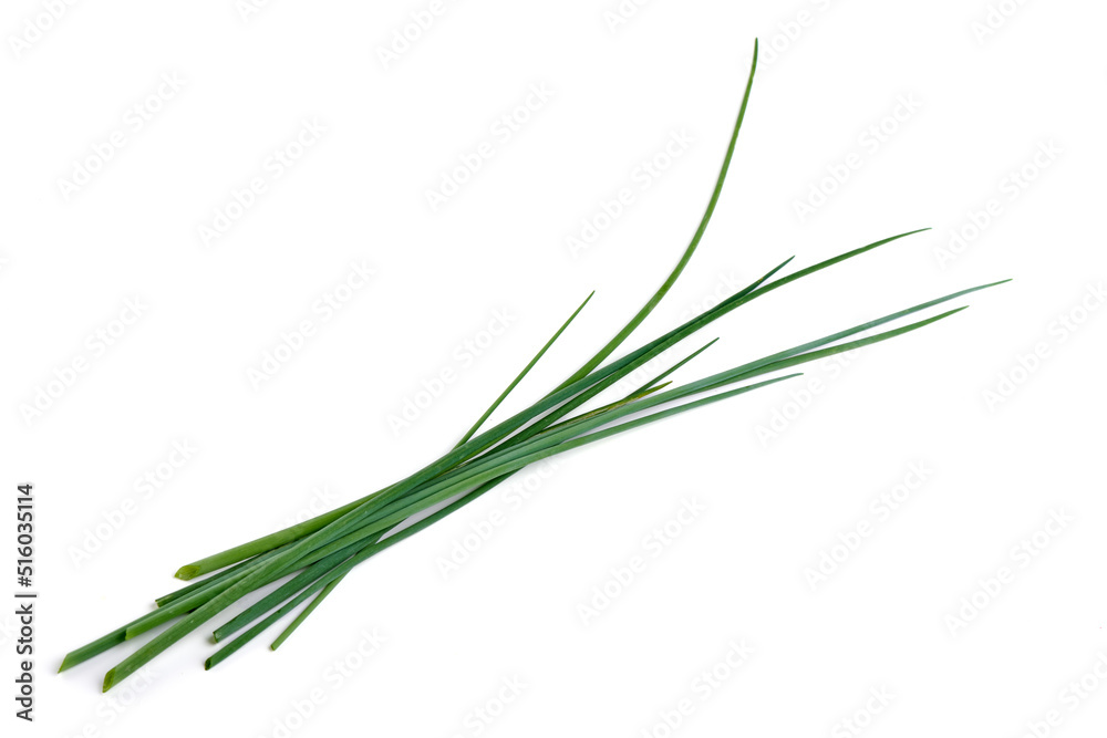 Fresh green onions or chives, close-up, isolated on white background. Fresh green onions or chives, close-up, isolated on white background.