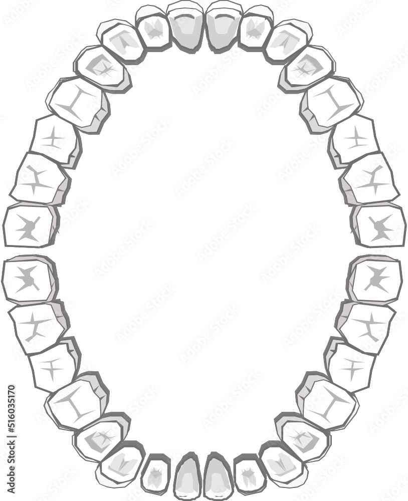 Full Dental Chart Vector Graphic B/W. Designed by Kayla Casale on Adobe