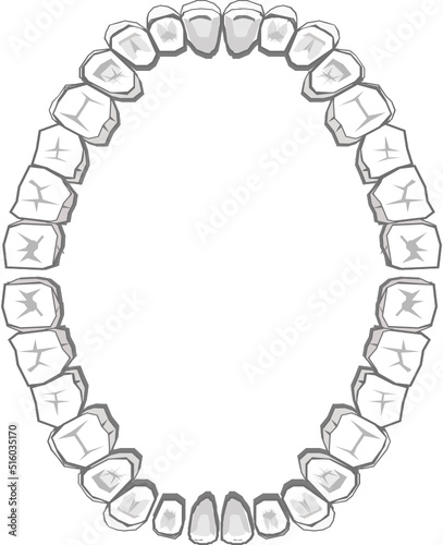 Full Dental Chart Vector Graphic B/W. Designed by Kayla Casale on Adobe XD. photo