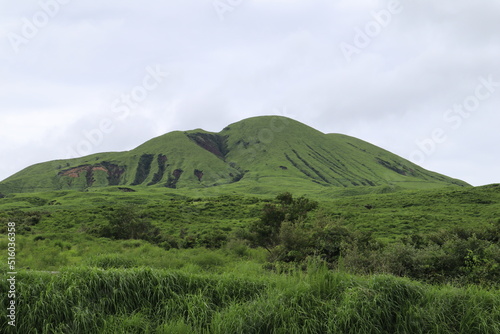 landscape with grass