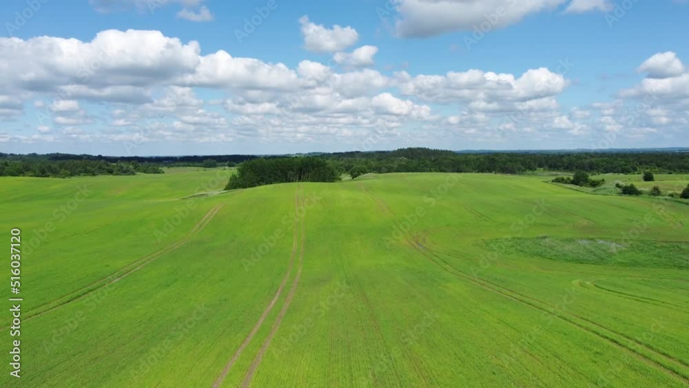 Green agricultural field against cloudy sky Green agricultural field against cloudy sky