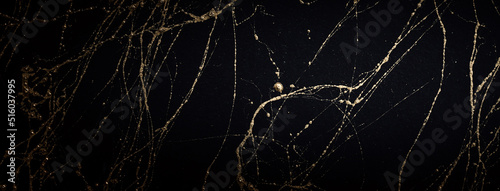 Gold and black marble art pattern. Textured abstract background.
