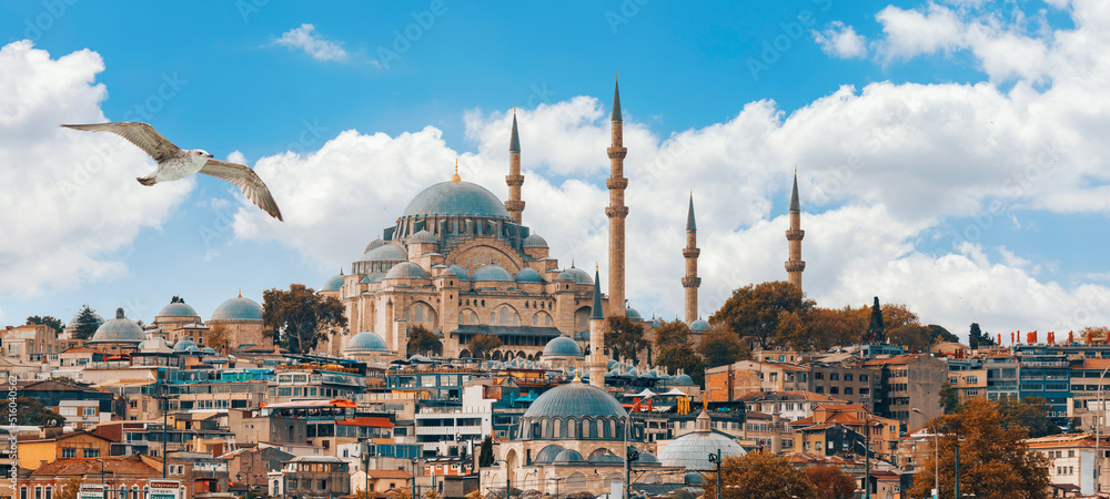 Obraz premium Beautiful view of gorgeous historical Suleymaniye Mosque, Rustem Pasa Mosque and buildings in a cloudy day. Istanbul most popular tourism destination of Turkey. Travel Turkey concept. 