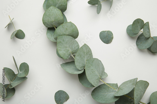 Flowers composition. Cotton flowers and eucalyptus branches on grey background. Vertical photo