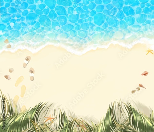 海ー上から見た砂浜の波打ち際にヒトデや貝殻とヤシの木と海のゆらめく波の美しいフレーム素材

