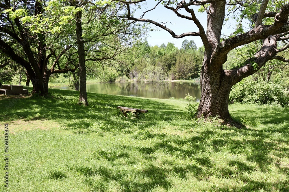 Fototapeta premium The empty bench under the trees by the pond.