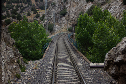 train track in nature and forest