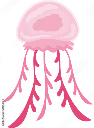 jellyfish pink sealife