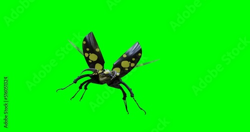 The beetle flies on a green background. 3d render. 3d animation.
