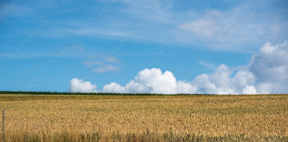 clouds at the horizon behind fields in summer