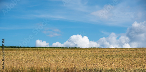 Obraz na płótnie clouds at the horizon behind fields in summer w salonie