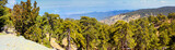 Panoramic view of the Troodos Mountains in the central regions of the island of Cyprus, panorama, Republic of Cyprus
