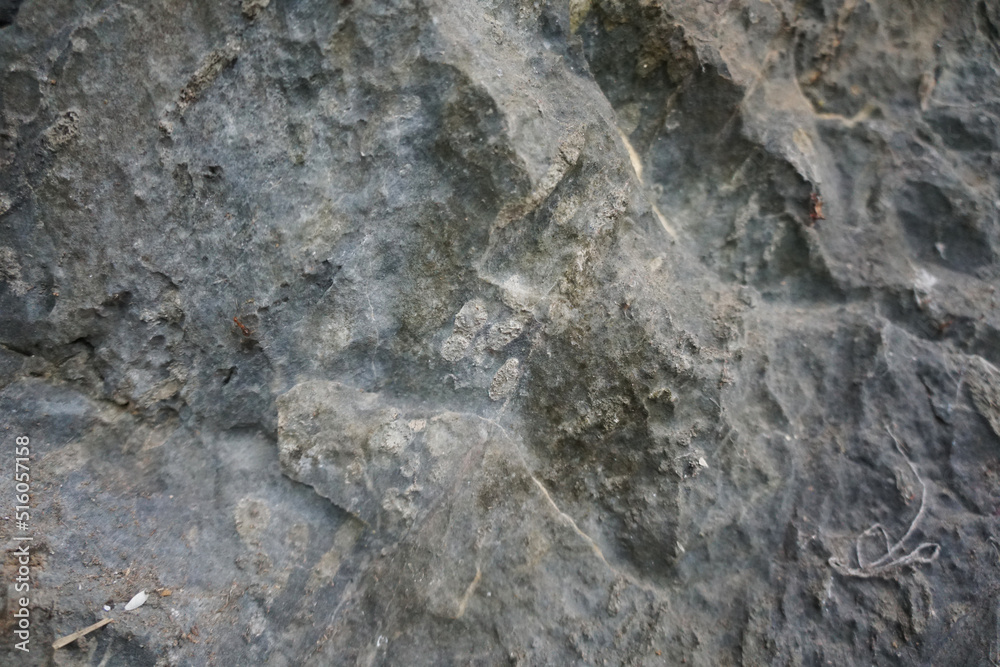 Selective focus of Fusulinid Fossils on limestone wall