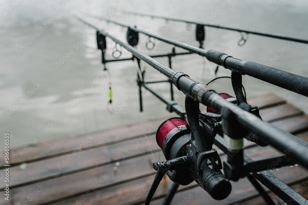 Feeder fishing with reel close up. Fishing rods for carp fishing with signaling devices on the holder. Rod pod. Fishing for pike, perch, carp on lake. Angler is fishing with carp fishing technique. Feeder fishing with reel close up. Fishing rods for carp fishing with signaling devices on the holder. Rod pod. Fishing for pike, perch, carp on lake. Angler is fishing with carp fishing technique.