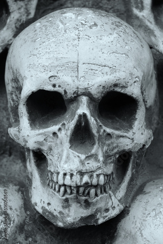 Artificial human skull close-up