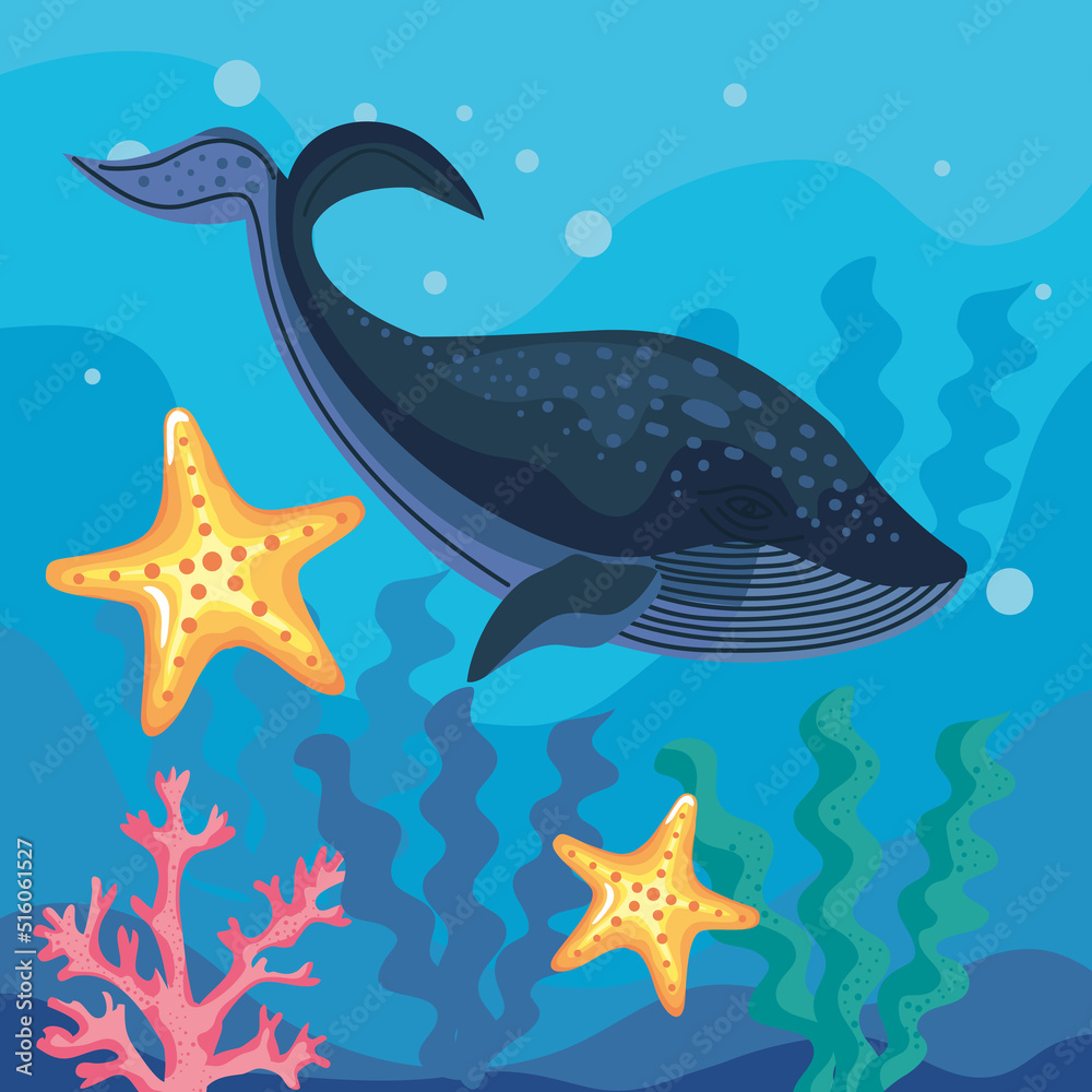 whale with starfishes undersea