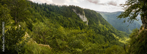 La combe d’Orvaz, versant est, depuis la crête du cirque, Jura, Ain, Auvergne-Rhône-Alpes, France