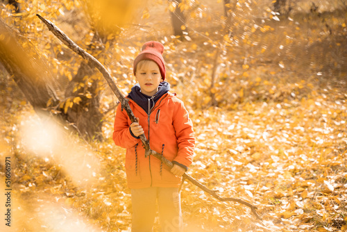 Fototapeta Naklejka Na Ścianę i Meble -  Child in an orange jacket walking on the fallen leaves in the autumn forest. Rest in the fall in nature.
