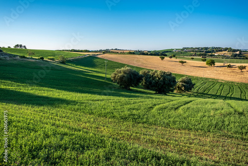 Beautiful sunrise in the countryside of Marche in a summer morning