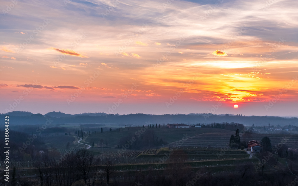 Fototapeta premium Spring sunset in the vineyards of Collio Friulano
