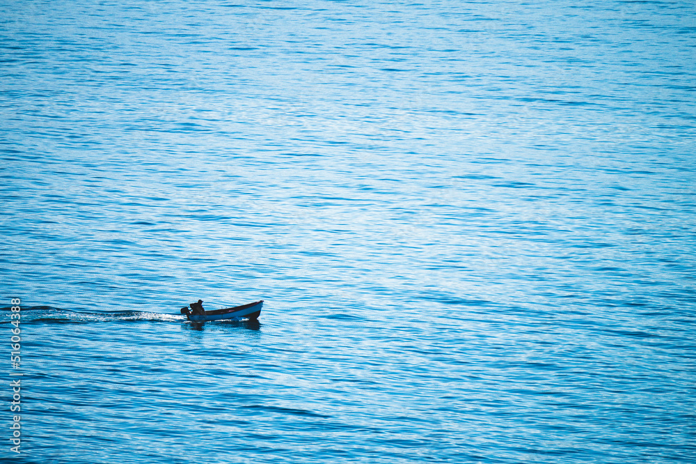 Naklejka premium dolphin in the sea