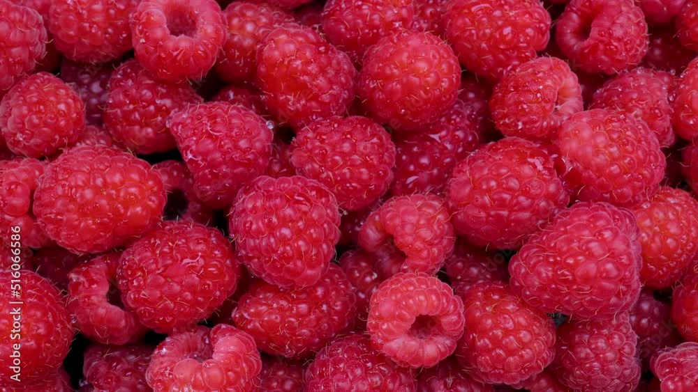 Fresh raspberries summer juicy fruits for a healthy diet. Organic raspberries for a healthy food and life concept. Dolly shot 4k background Fresh raspberries summer juicy fruits for a healthy diet. Organic raspberries for a healthy food and life concept. Dolly shot 4k background