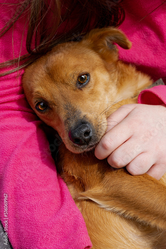 Mujer abraza a perro callejero adoptado