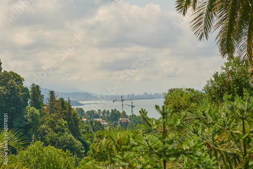 sea view from the botanical garden in batumi