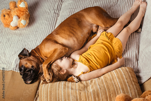 a little girl in a yellow dress at home on the sofa goes to bed with her big dog German boxer, trust and friendship of children and dogs