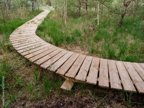 Fotografie, Obraz Wooden walkway in the nature reserve Borkovicka blata.