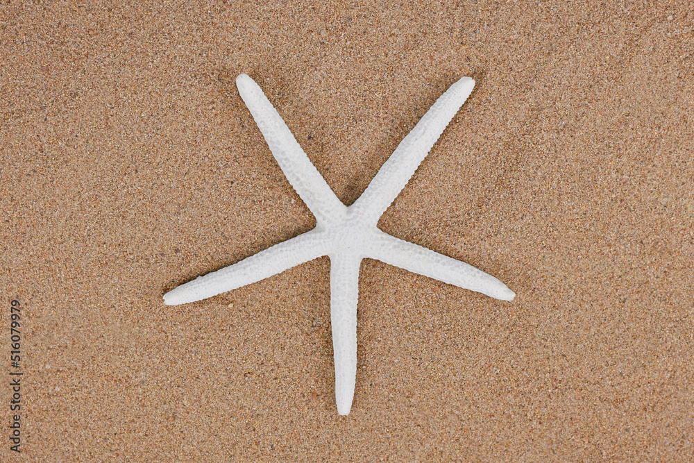 Top view of white artificial starfish on sand Top view of white artificial starfish on sand