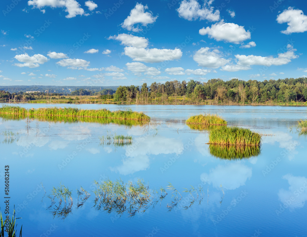 Summer lake landscape with plants reflections on water surface (near Shklo settlement, Lviv Oblast, Ukraine) .