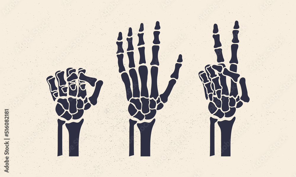 Rock, scissors, paper gestures. Skeleton hands set isolated on white
