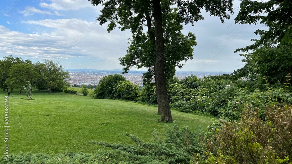 Obraz premium landscape with trees
