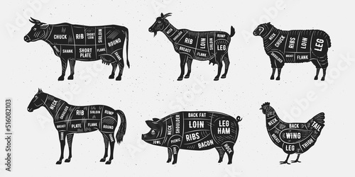 Butcher diagram, scheme set. Trendy vintage hand-drawn style. Lamb, Pork, Goat, Chicken, Horse, Beef meat cuts. Cuts of meat set for butchery, meat shop, restaurant, grocery store. Vector illustration