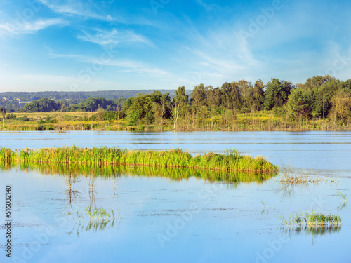 Summer lake landscape with plants reflections on water surface (near Shklo settlement, Lviv Oblast, Ukraine) .